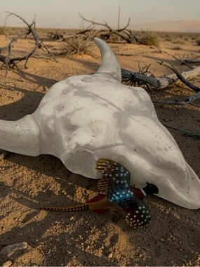 Vintage Male Pheasant Pin/ Brooch